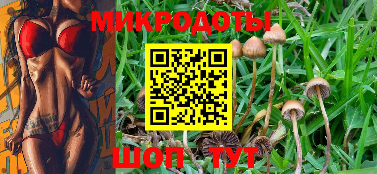 Владивосток  Галлюциногенные грибы Psilocybe  Вход с VPN 